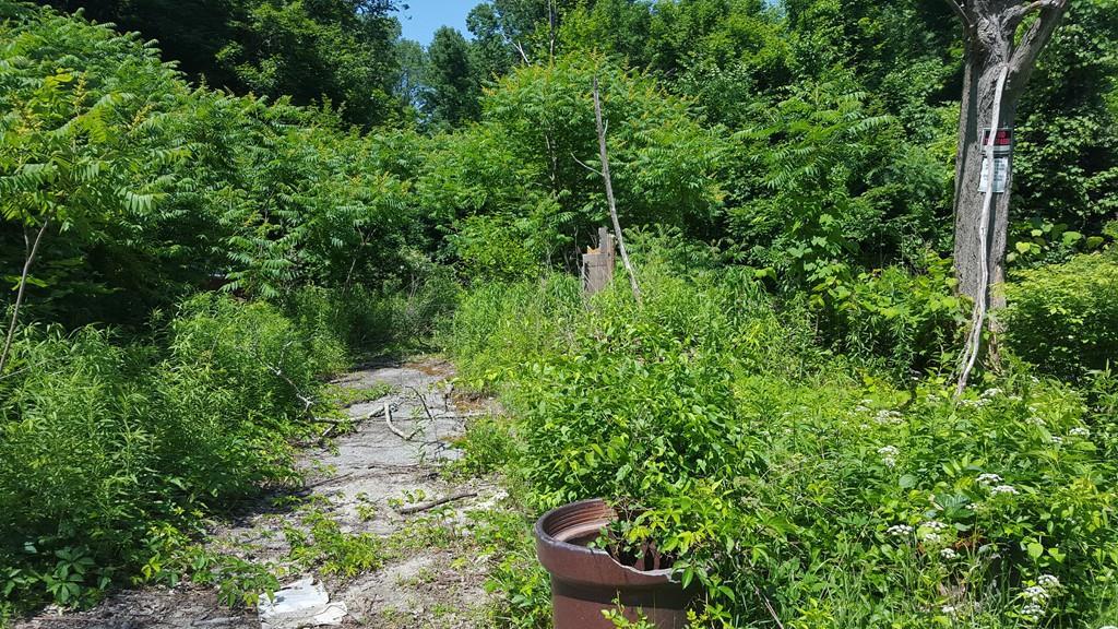 215 Shepard Rd - Photo 1