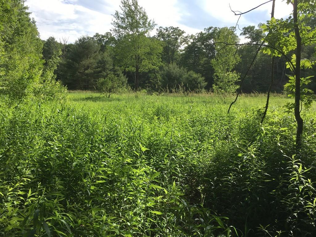 0 Bailey Rd - Photo 1