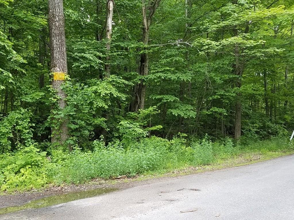 0 Mountain Rd - Photo 1