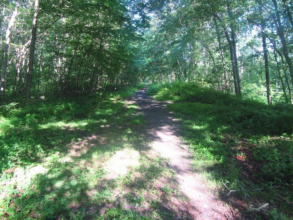 285 Mill Rd. - Photo 1