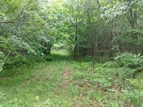0 Stafford Rd - Photo 1