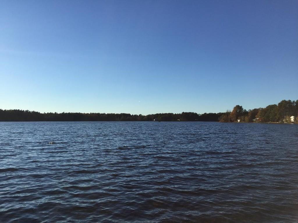 Lot 7 Holton Way - Photo 1