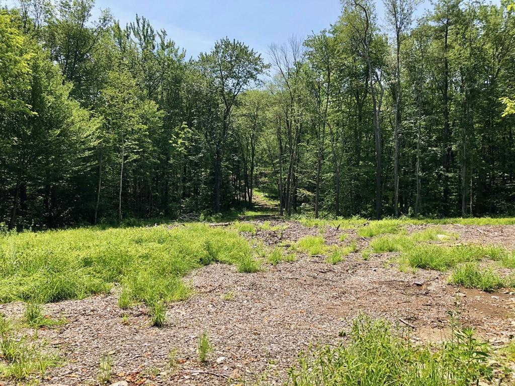 55 Blake Corner Rd - Photo 1