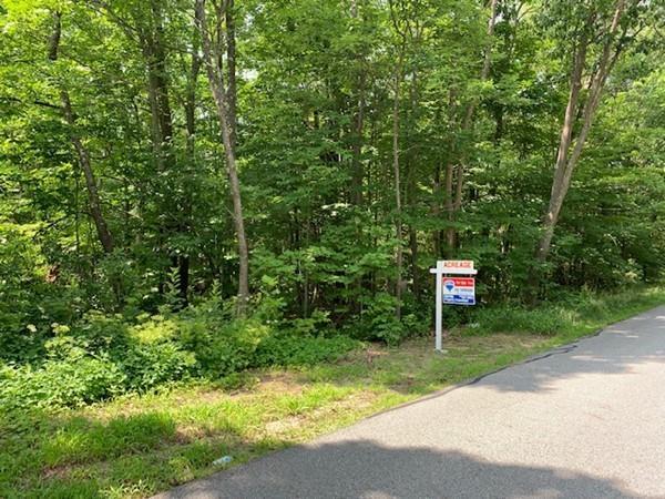 Lot 18 Royalston Rd - Photo 1