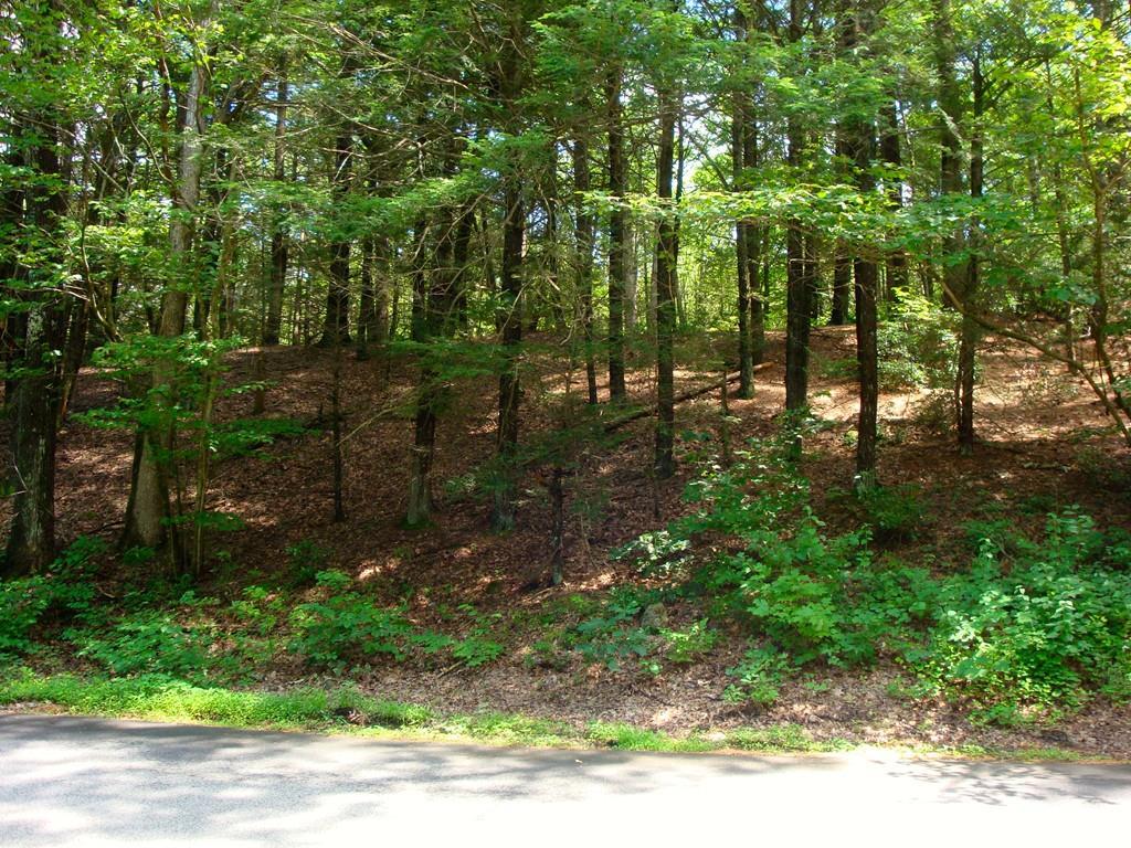 Lot 0 Alpine Dr - Photo 1