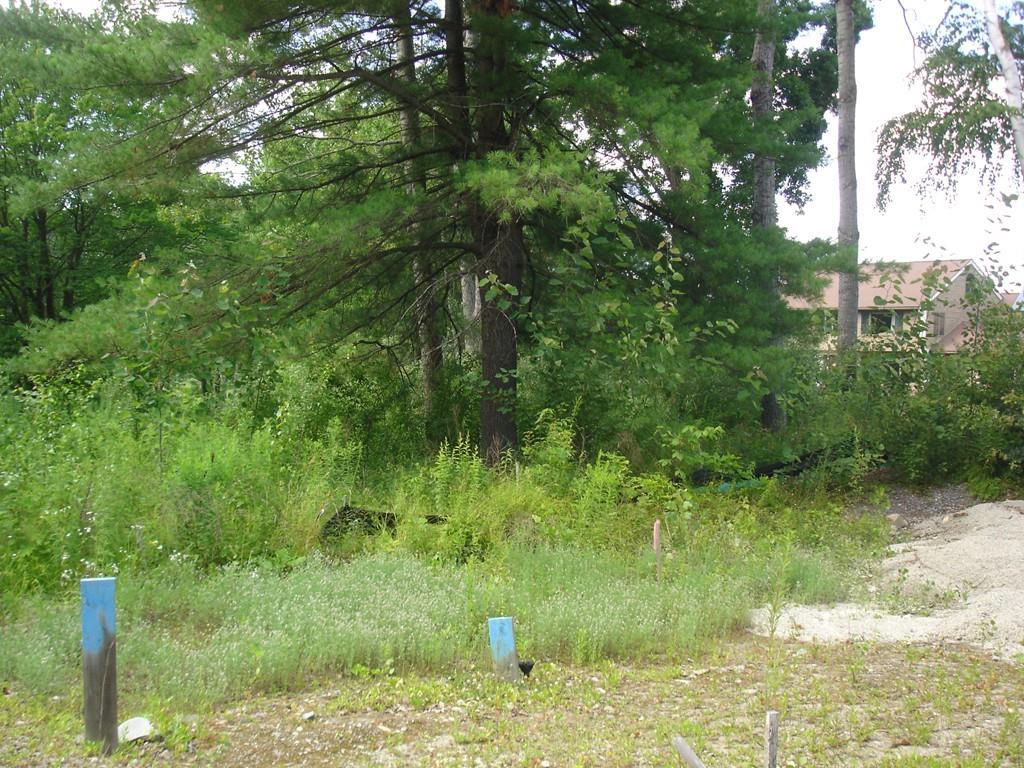 2 Riley Jane Lane - Photo 1