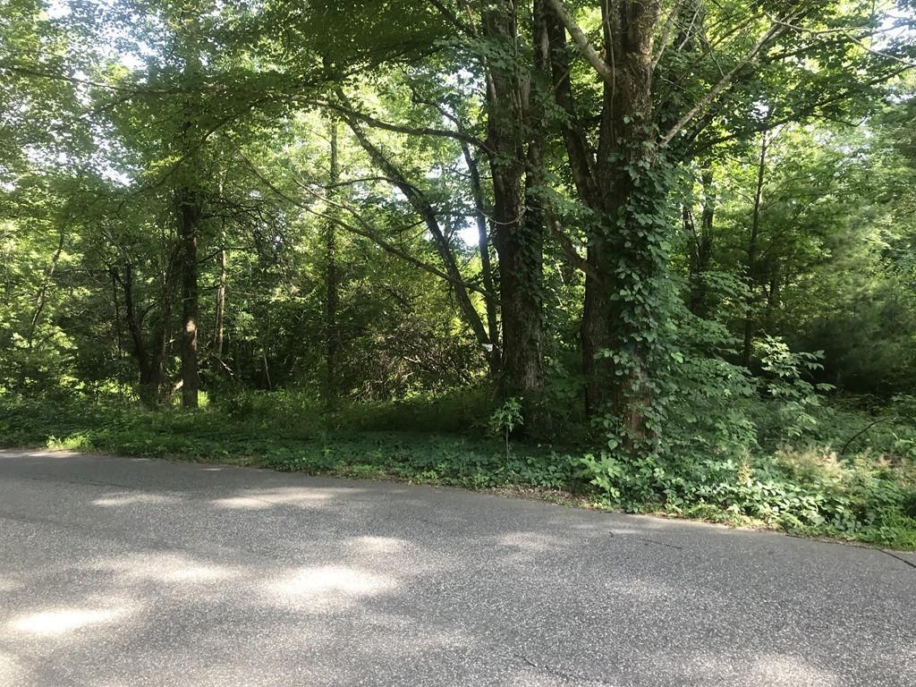 lot 8 Vinton Road - Photo 1