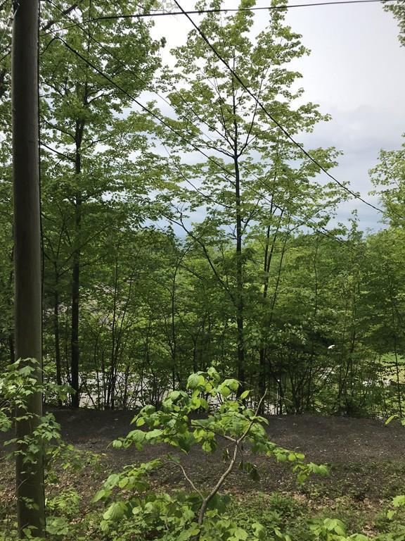 Lot 3 Reservation - Photo 1
