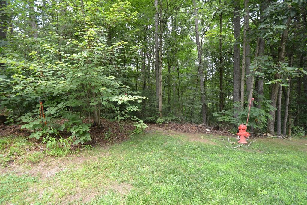 Lot 16 Wildflower Drive - Photo 1