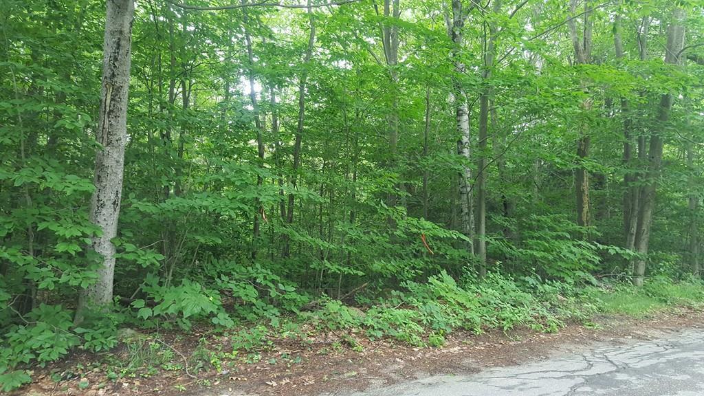 0 Whitney Rd - Photo 1