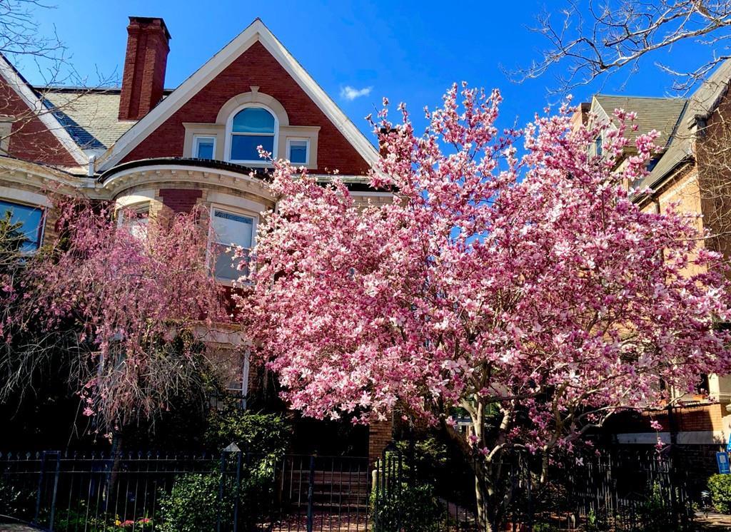 1756 Beacon St - Photo 1