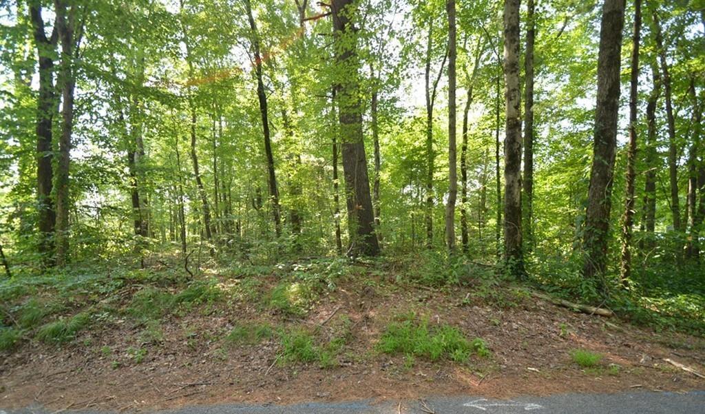 15 Shattuck Road - Photo 1