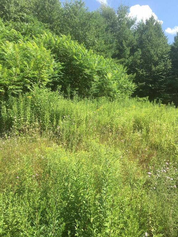 Lot 5 Palley Village Pl - Photo 1