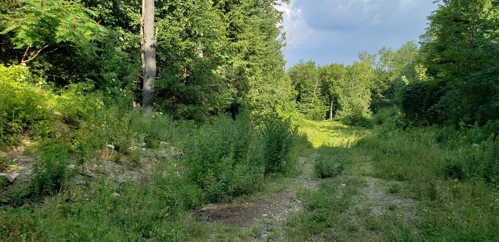 Lot 0 Lebanon Hill Road - Photo 1
