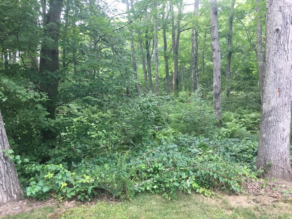 50E Lake Parkway - Photo 1