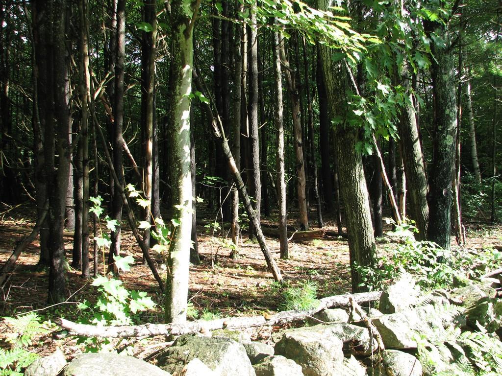 0 Baldwinville Road Lot A - Photo 1