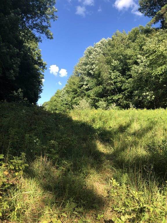 Lot B/B1 Sturbridge Rd - Photo 1