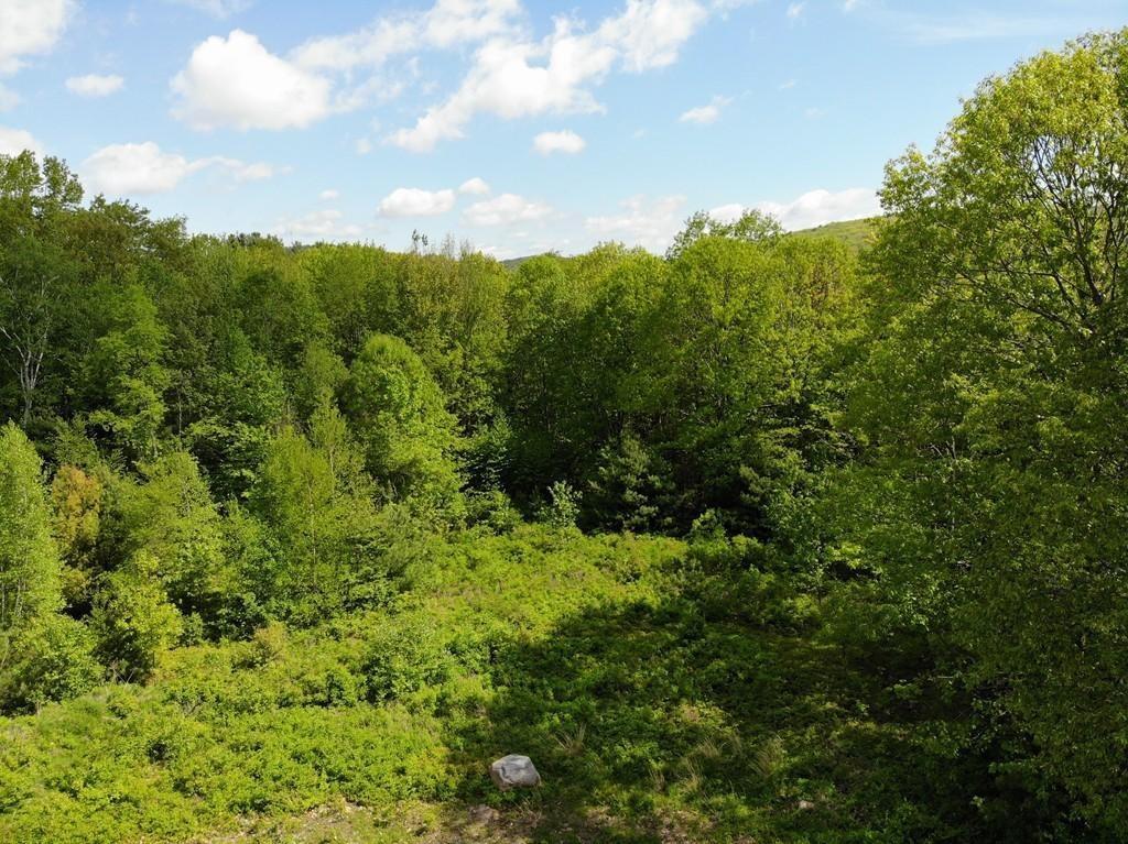 Lot 1 Garfield - Photo 1