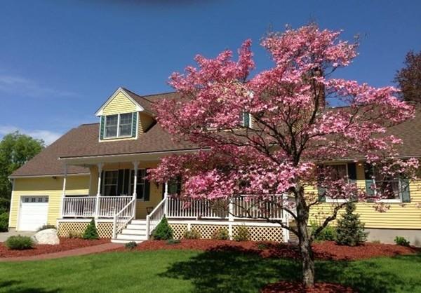 26 Sable Run Lane - Photo 1