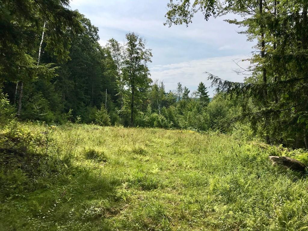 0 Ford Hill Road - Photo 1