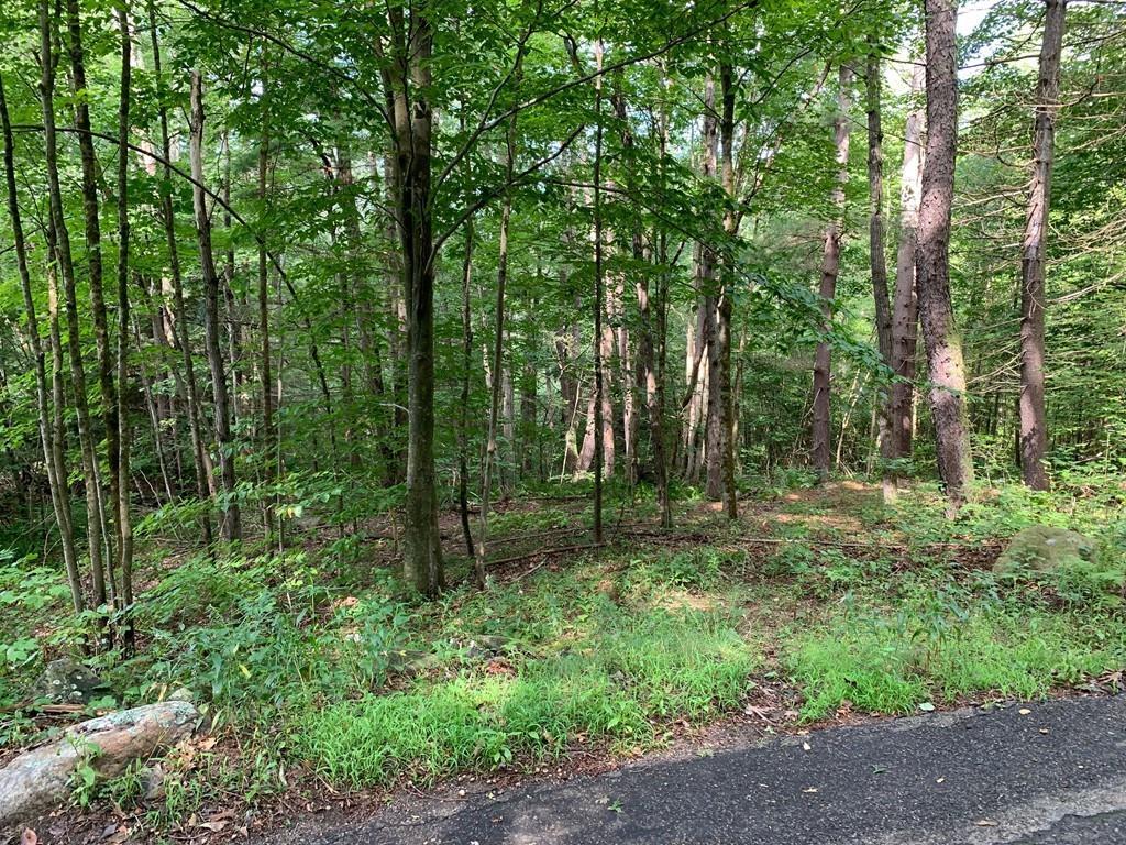 Lot A-3 Brickyard Rd - Photo 1