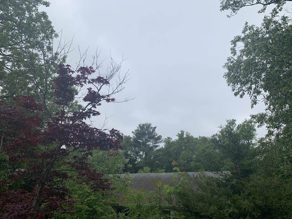 67 Marion Rd - Photo 1