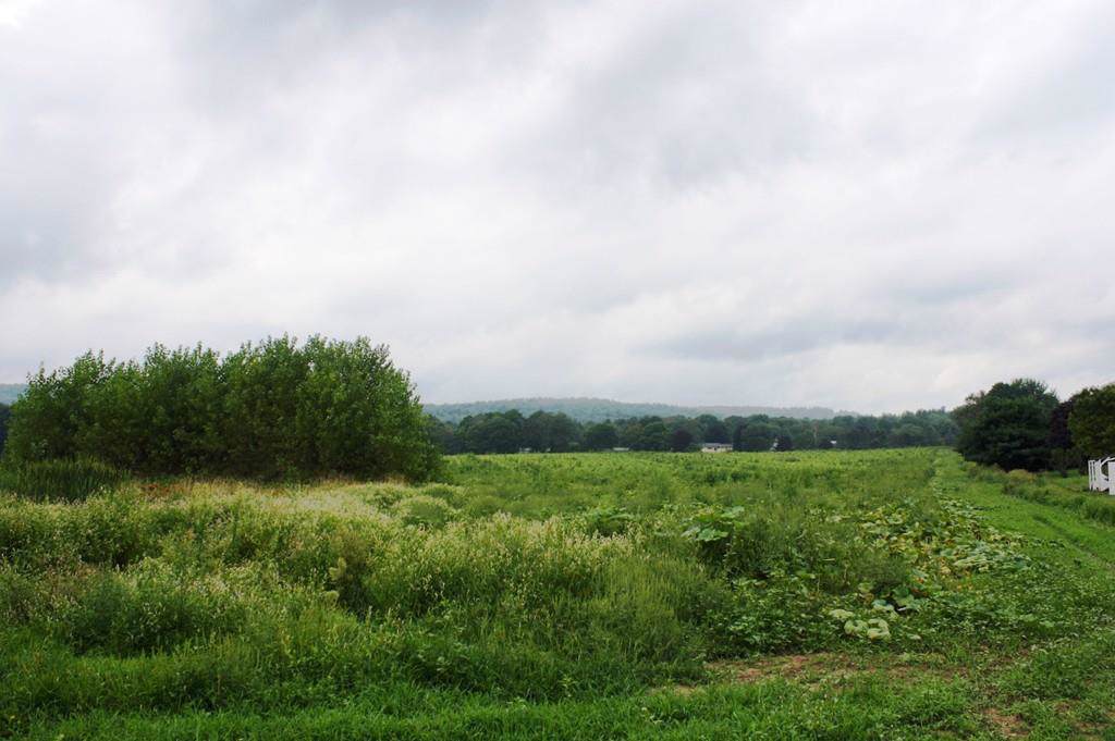 0 Settright Road - Photo 1