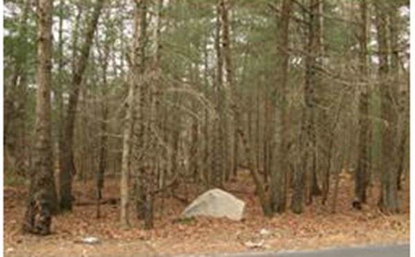11 Kimberley - Photo 1