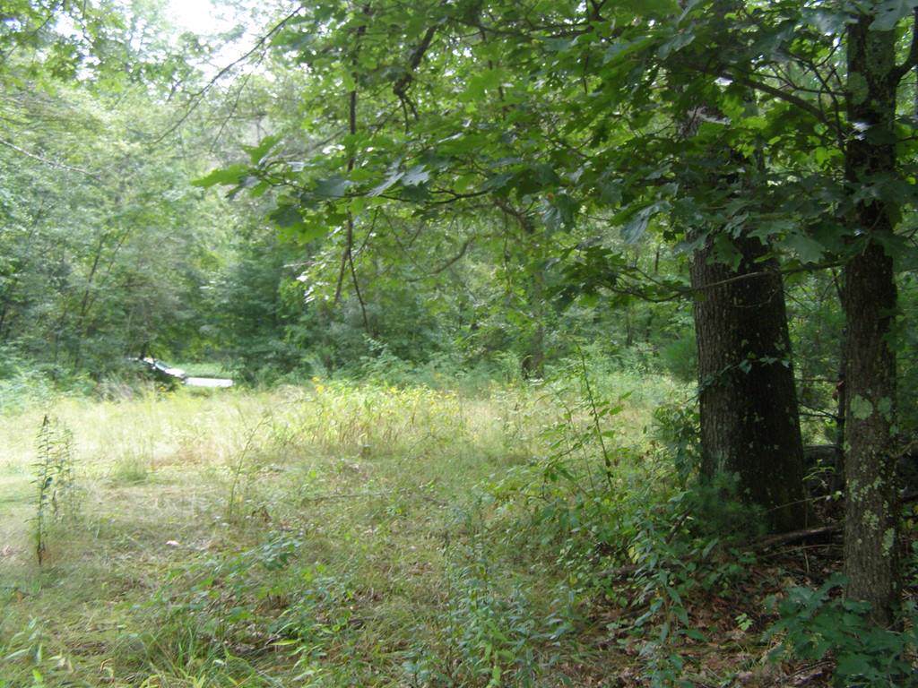 0 Stebbins Rd - Photo 1