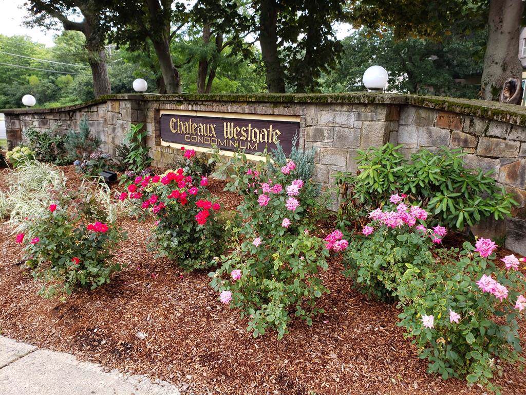 104 Oak Ln - Photo 1