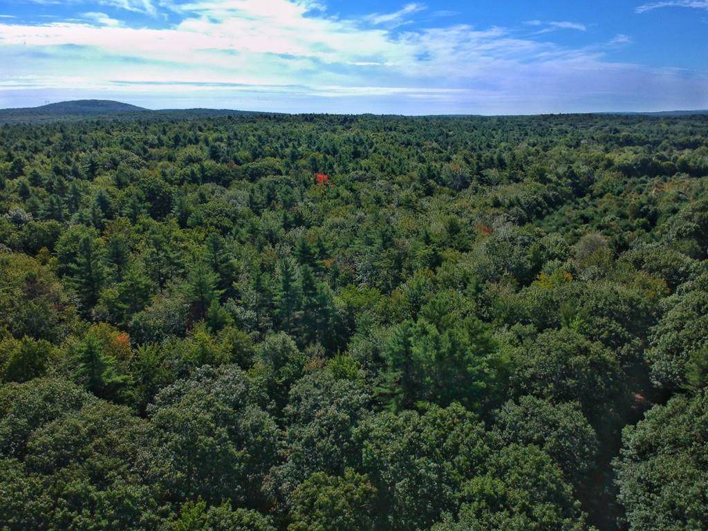 0 Lombard Rd - Photo 1