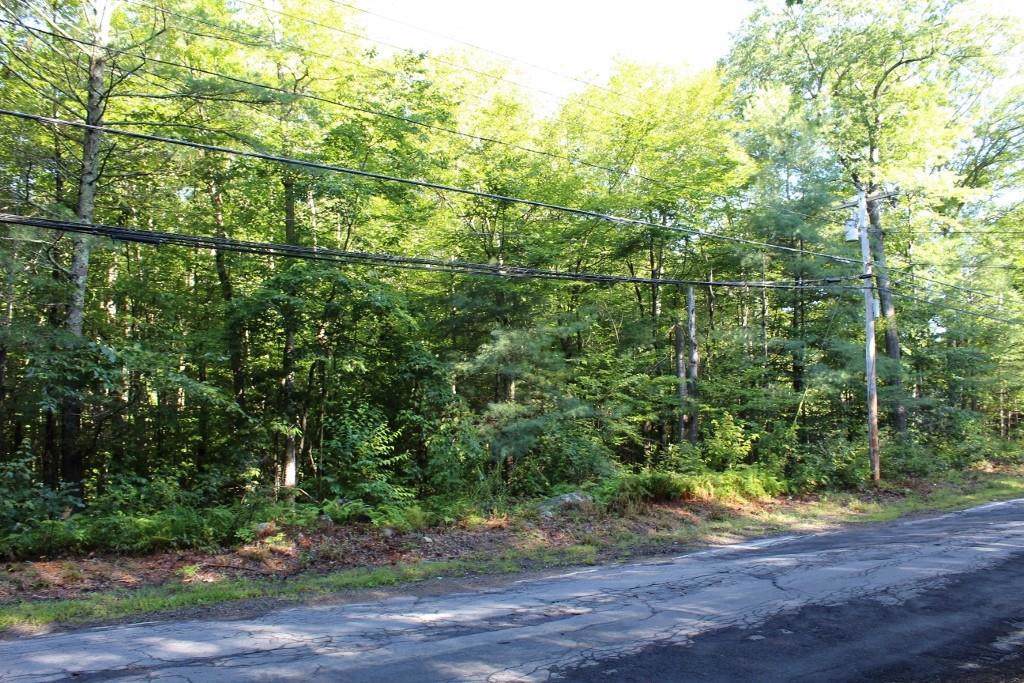 Lot 7 Williamsville Road - Photo 1