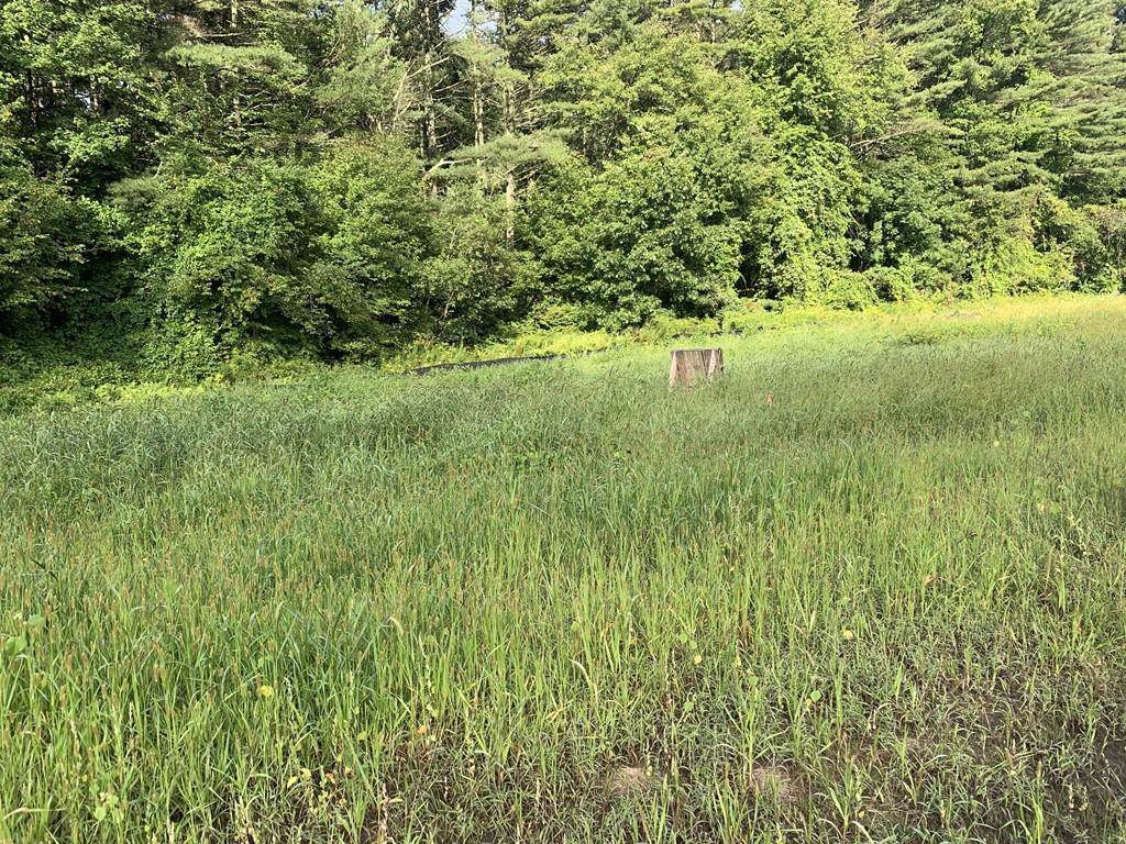 Lot 12 Pine St - Photo 1
