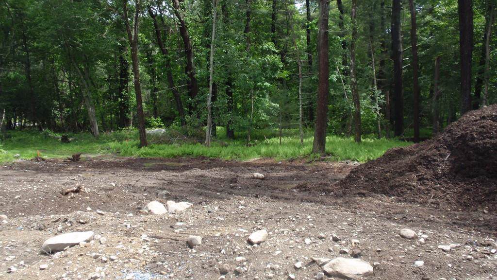 Lot 4 Trinity Circle - Photo 1