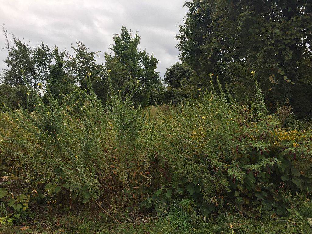 975 Stony Hill Road - Photo 1