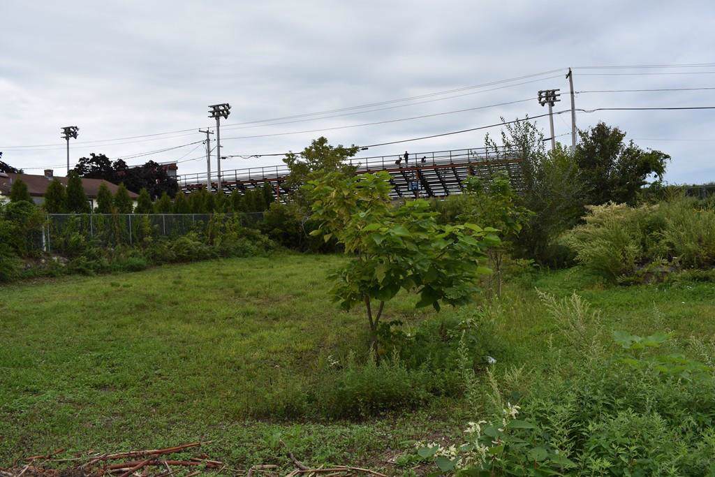 SS Maxfield Street - Photo 1