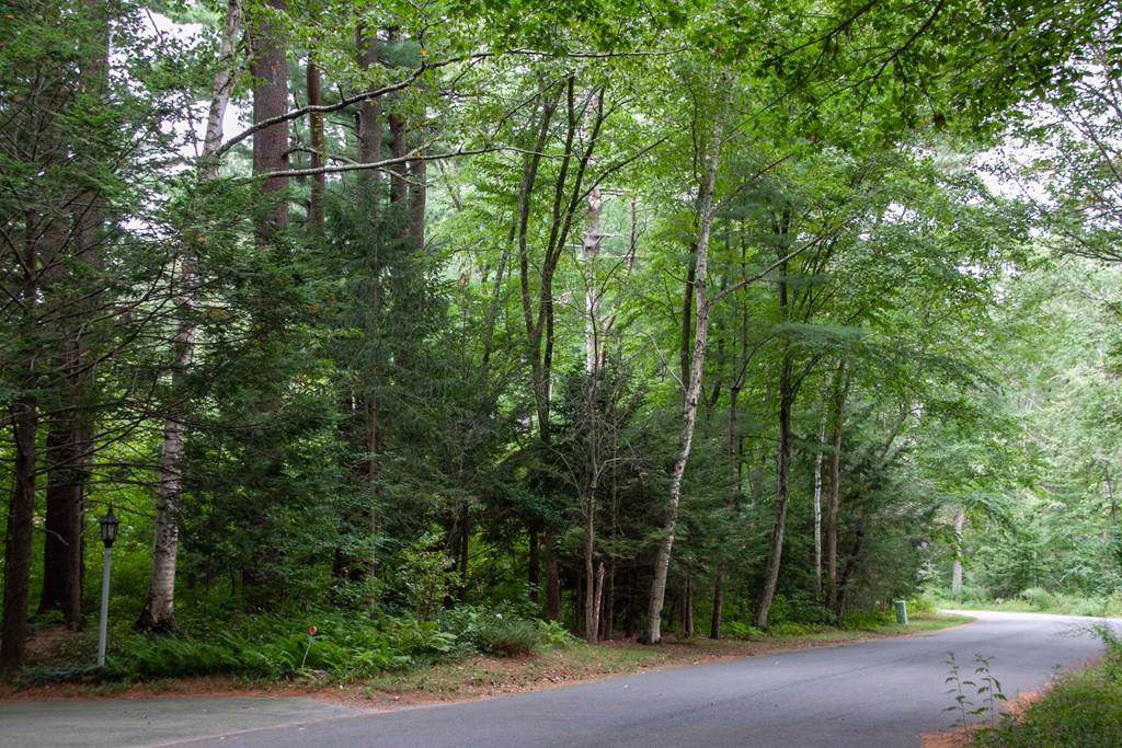 6 (B) Partridge Pond Rd - Photo 1
