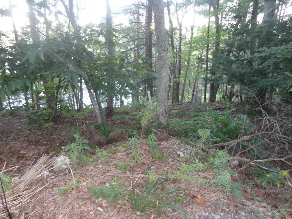 0 Macarthur Ave - Photo 1