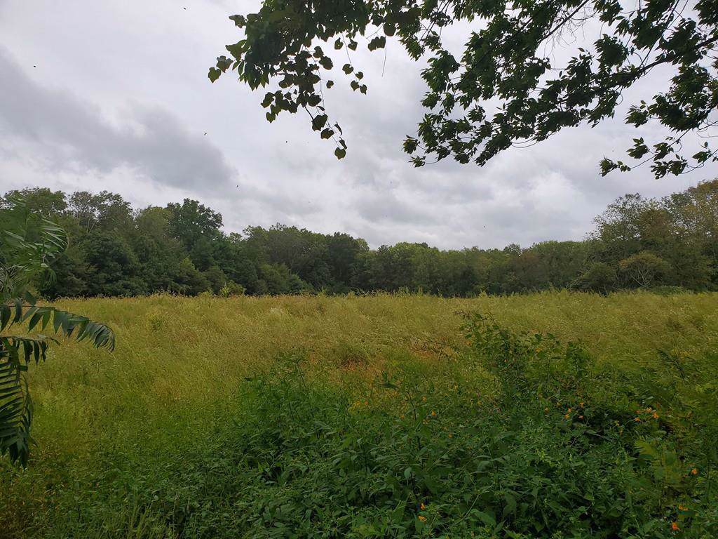 0 Dresser Hill - Photo 1