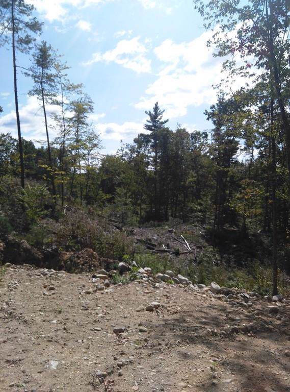 142 Fitchburg Rd - Photo 1