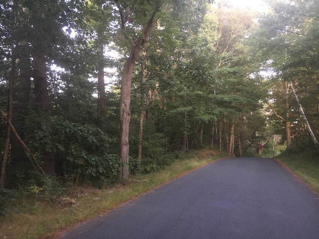 40 lot 1 Hines Bridge Rd - Photo 1