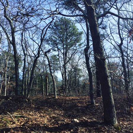 563 Old Jail Lane - Photo 1