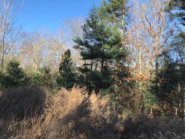 14 Arlington Lane Lot 14 - Photo 1