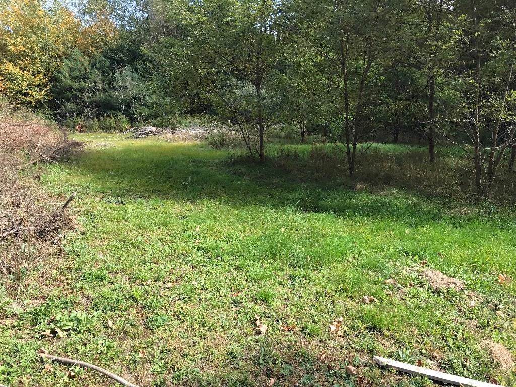 Lot 2 Summer - Photo 1
