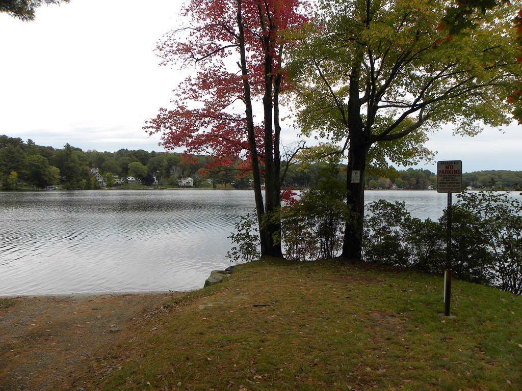66 Osgood Rd - Photo 1