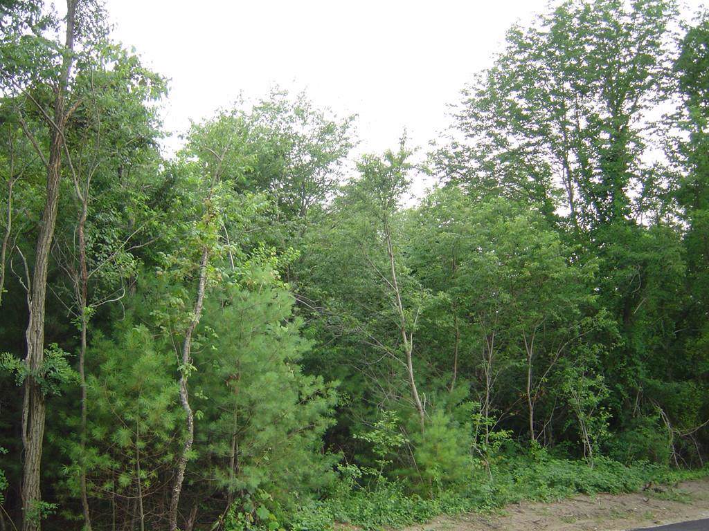 496 North Cary St - Photo 1 496 North Cary St - Photo 1