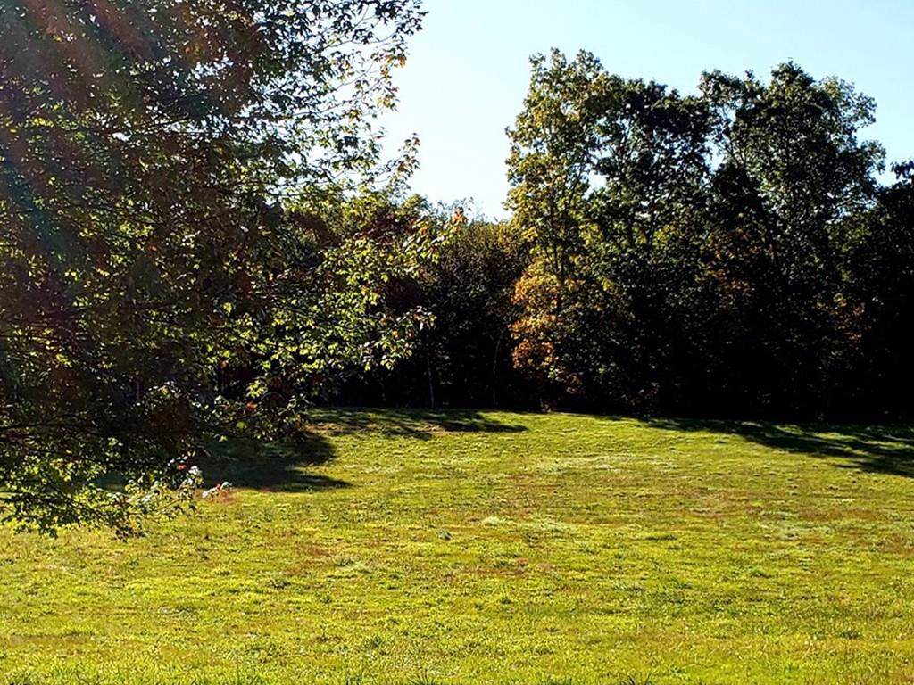 85 Granville Road - Photo 1
