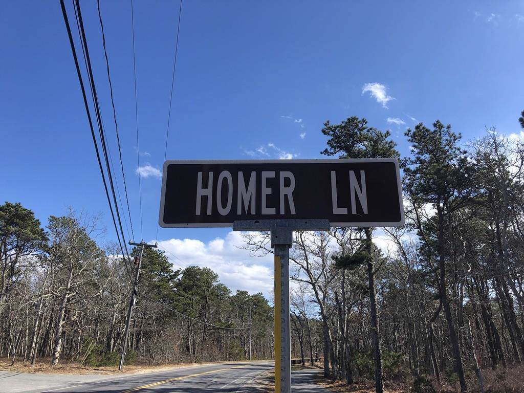 Lot 4 Homer Lane - Photo 1