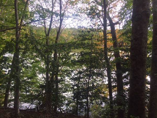 181 Timberlane Dr - Photo 1
