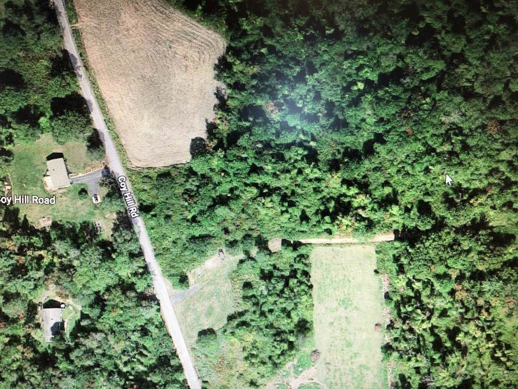 Lot 8 Coy Hill Rd - Photo 1
